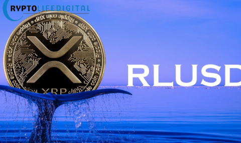 RLUSD Stablecoin Accelerates Global Expansion Through Real Estate and Tokenized Treasury Integration
