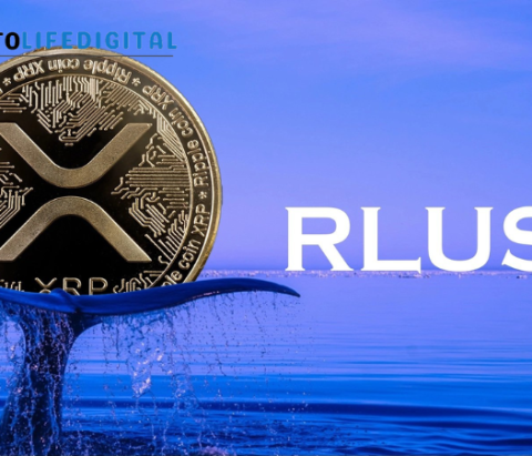 RLUSD Emerges as a Fast Growing Regulated Stablecoin