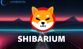 Shib Launches Developer Hub to Accelerate Shibarium Innovation