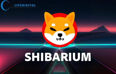 Shib Launches Developer Hub to Accelerate Shibarium Innovation