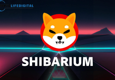 Shibarium Surges: Record-Breaking Transactions and Wallet Growth