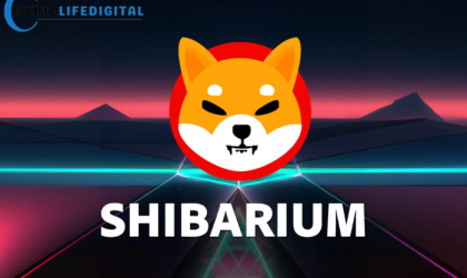 Shibarium Surges: Record-Breaking Transactions and Wallet Growth