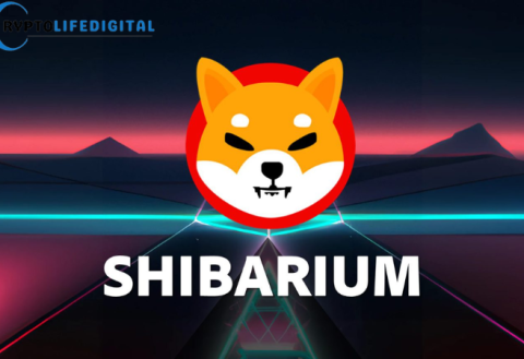 Shibarium NFT Season: The Future of Blockchain Gaming and Digital Collectibles