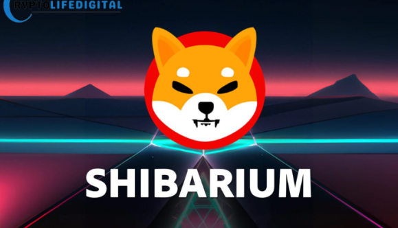 Shib Launches Developer Hub to Accelerate Shibarium Innovation