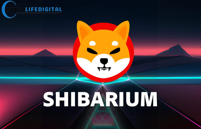 Shibarium Surges: Record-Breaking Transactions and Wallet Growth