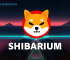 Shibarium Surges: Record-Breaking Transactions and Wallet Growth