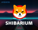 Shibarium Surges: Record-Breaking Transactions and Wallet Growth