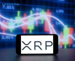 XRP Declared the Most Useful Crypto by Teucrium CEO