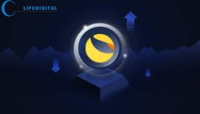 LUNC Gains Momentum as Whales Accumulate and Burns Accelerate