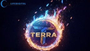 Terraport Weekly Report Highlights Growing Deflationary Strength and Token Burn Momentum
