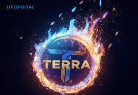 Terraport Weekly Report Highlights Growing Deflationary Strength and Token Burn Momentum