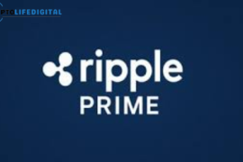 Ripple Launches Ripple Prime Following $1.25 Billion Acquisition