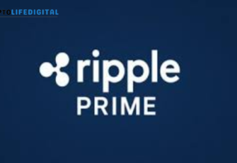 Ripple Launches Ripple Prime Following $1.25 Billion Acquisition