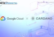 Google Cloud Registers Cardano Stake Pool on Preview Testnet