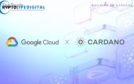 Google Cloud Registers Cardano Stake Pool on Preview Testnet
