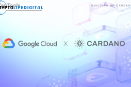 Google Cloud Registers Cardano Stake Pool on Preview Testnet