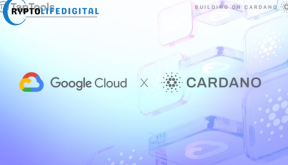 Google Cloud Registers Cardano Stake Pool on Preview Testnet