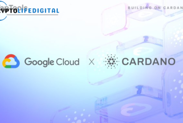 Google Cloud Registers Cardano Stake Pool on Preview Testnet