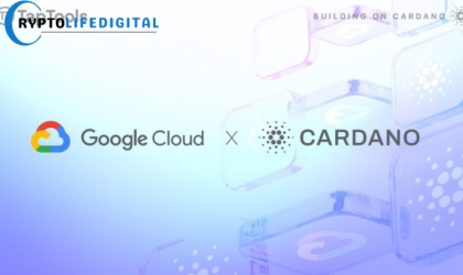 Google Cloud Registers Cardano Stake Pool on Preview Testnet