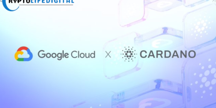 Google Cloud Registers Cardano Stake Pool on Preview Testnet