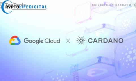 Google Cloud Registers Cardano Stake Pool on Preview Testnet