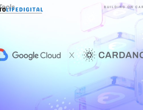 Google Cloud Registers Cardano Stake Pool on Preview Testnet