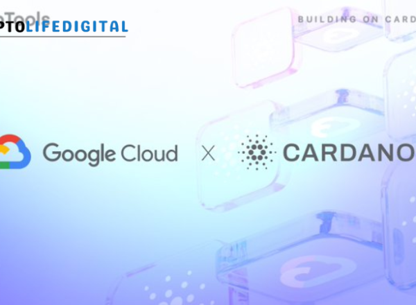 Google Cloud Registers Cardano Stake Pool on Preview Testnet