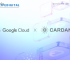 Google Cloud Registers Cardano Stake Pool on Preview Testnet