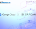 Google Cloud Registers Cardano Stake Pool on Preview Testnet