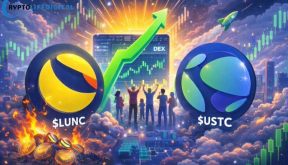 The Resilience of the Terra Classic Community