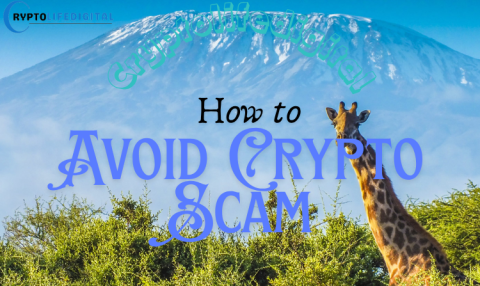 How to Avoid Crypto Scams in Africa (2026 Complete Guide)